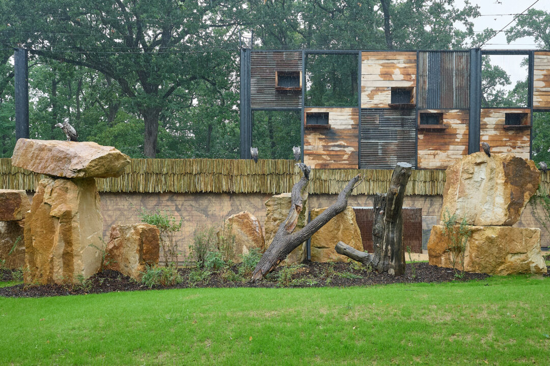 Výběh supů ZOO Zlín Lešná