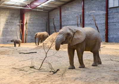 Výběh slonů ZOO Zlín Lešná