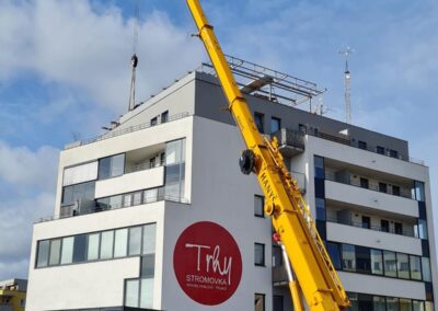 Trhy Stromovka Hradec Králové